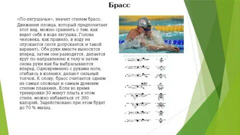 Стиль плавания считающийся самым быстрым