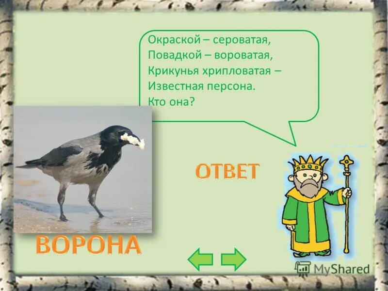 Конспект урока птицы 7 класс. Окраской-сероватая повадкой-вороватая крикунья хрипловатая кто она. Загадка окраской сероватая. Повадка серовата воровата вот персона загадка окраска. Чего боится крикунья.