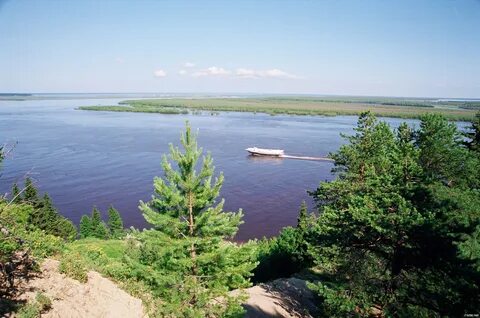 Хмао береговой
