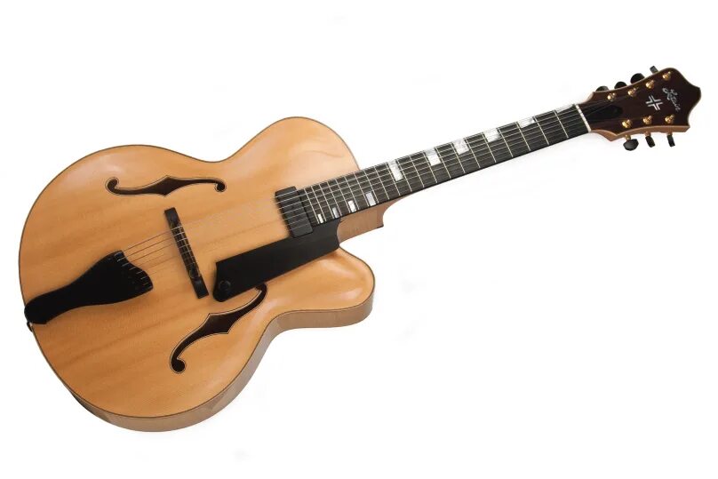 7 string guitar. Арктоп электрогитара. 7 string archtop. archtop guitar 7 strings. полуакустическая гитара 7 струнная.