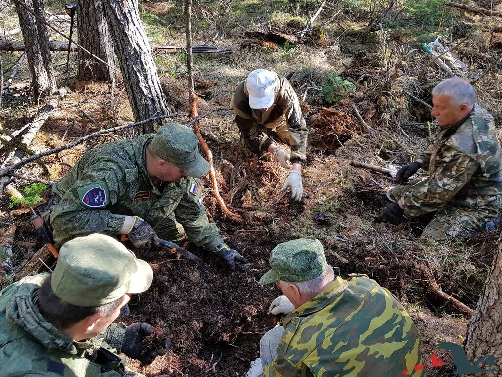 Поисковое движение России. Военно-поисковых отрядов России. Поисковое движение России форма. Форма поисковиков в России. Сайт военный поиск