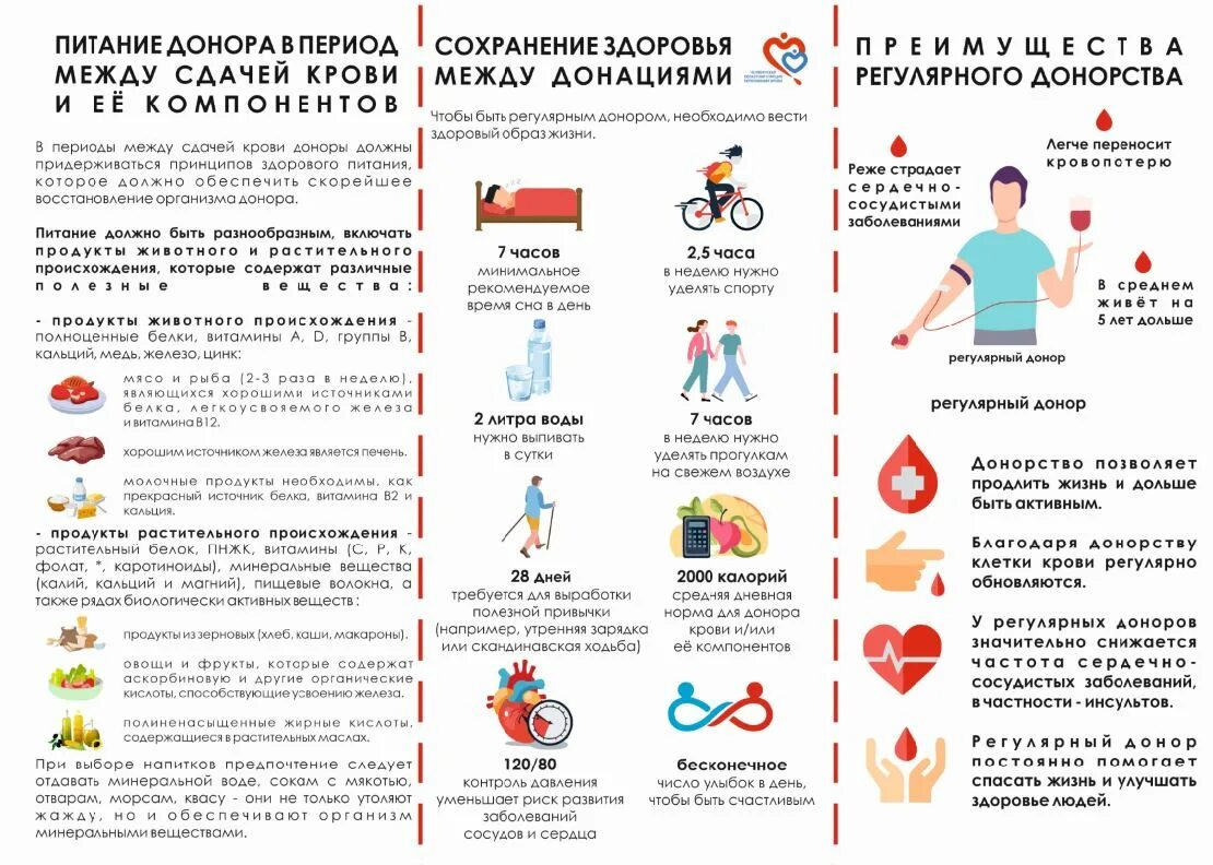 Рекомендации донору. Памятка донору. Рекомендации донорам. Подготовка к сдаче крови. Донация рекомендации.