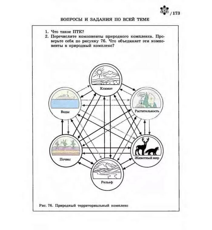 7 природных компонентов. Схема природного территориального комплекса. Схема природного комплекса география 8. Схема ПТК по географии. Природно-территориальный комплекс 8 класс.