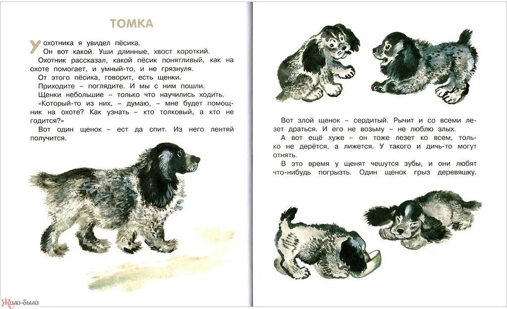 Короткий рассказ чарушина. Рассказы е чарушина 1 класс. Рассказы чарушина для 2. Е и чарушин произведения для детей. Короткий рассказ чарушина.