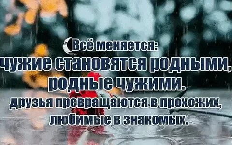 Как чужие становятся родными