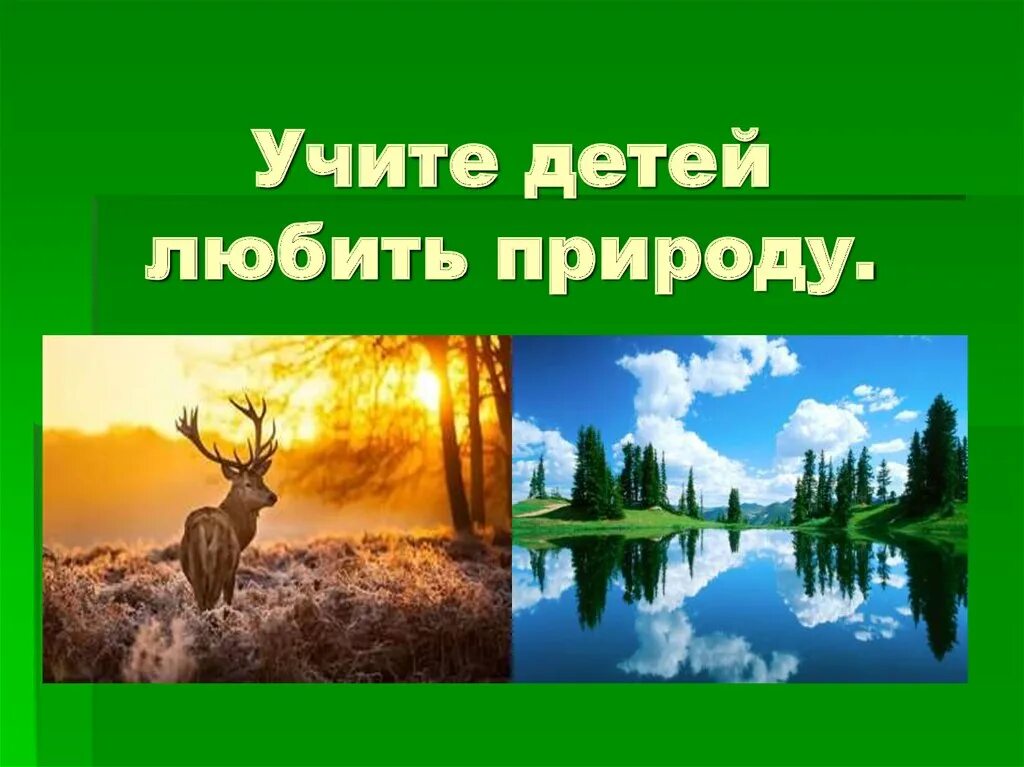 Нужно любить природу. Учите детей любить природу. Консультация учите детей любить природу. Слайд любите природу. Консультация научите детей любить природу.