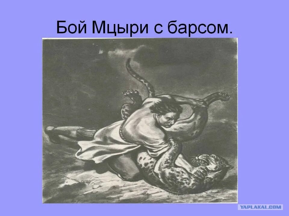 Схватка с барсом. Мцыри Барс Лермонтов. Мцыри Лермонтов сражение с Барсом. Лермонтов Мцыри бой с Барсом. Мцыри битва с Барсом отрывок.