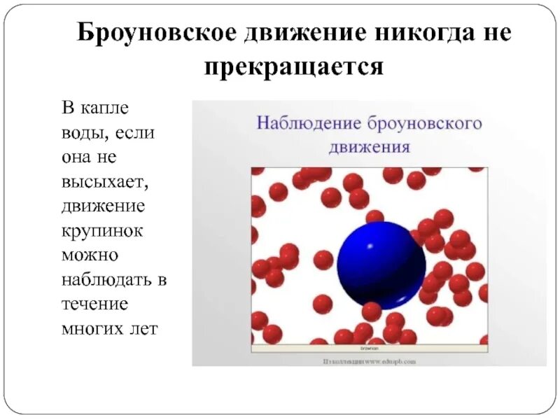 Броун броуновское движение. Объяснение броуновского движения кратко. Броуновское движение физика 7. От чего зависит скорость броуновского движения.