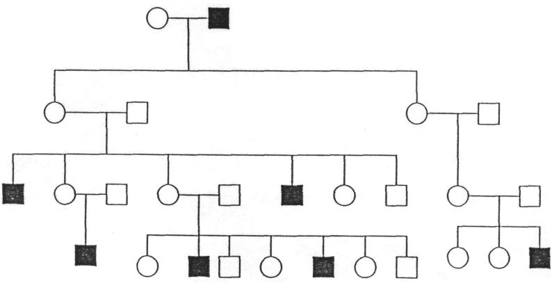 Геном дерева. Схема родословной биология генетика. Родословная генетика пример. Генетика дерево. Родословная семьи романовых генеалогическое древо гемофилия.