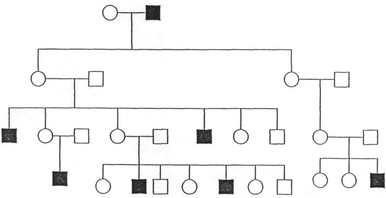 Древо семьи биология генетика. Схема родословной биология генетика. Схема генетического исследования родословной. Генеалогическое Древо схема генетика. Родословное Древо по био.