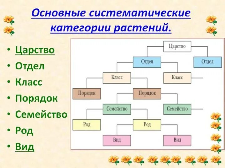 Систематика царства растений схема. Классификация растений схема 5 класс биология. Систематика царства растений биология 5 класс. Систематика царства растений таблица.