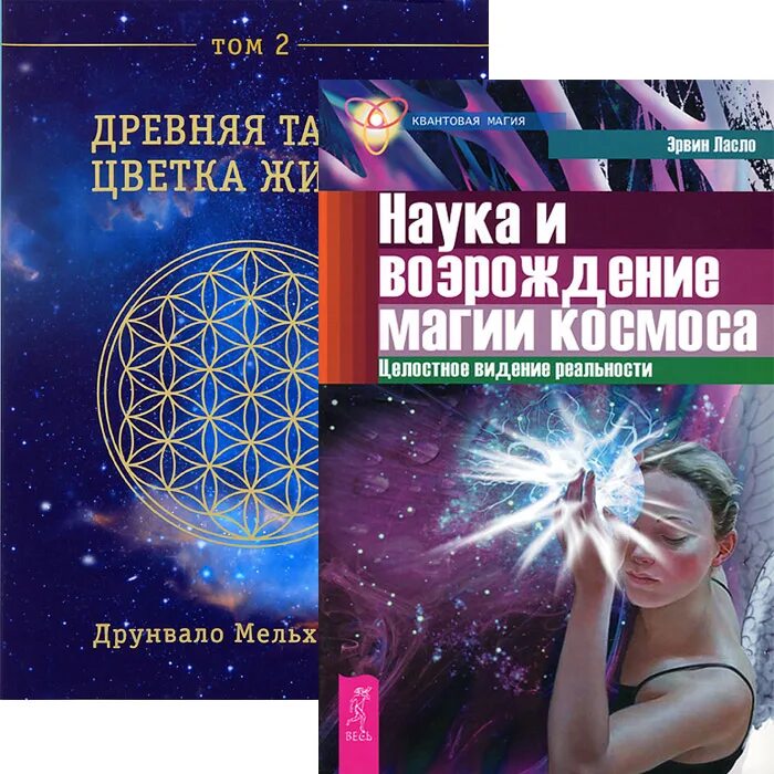 космический мусорщик попаданцы. биополе человека книги. квантовая магия книги. цветок жизни друнвало мельхиседек. золотко в космосе.