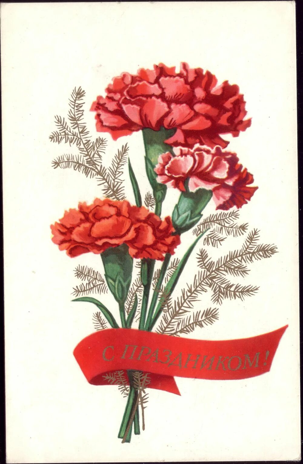 Гвоздика шабо акварель. Гвоздика открытки. Аппликация гвоздики из бумаги. Гвоздики разноцветные. Гвоздика шабо победы.