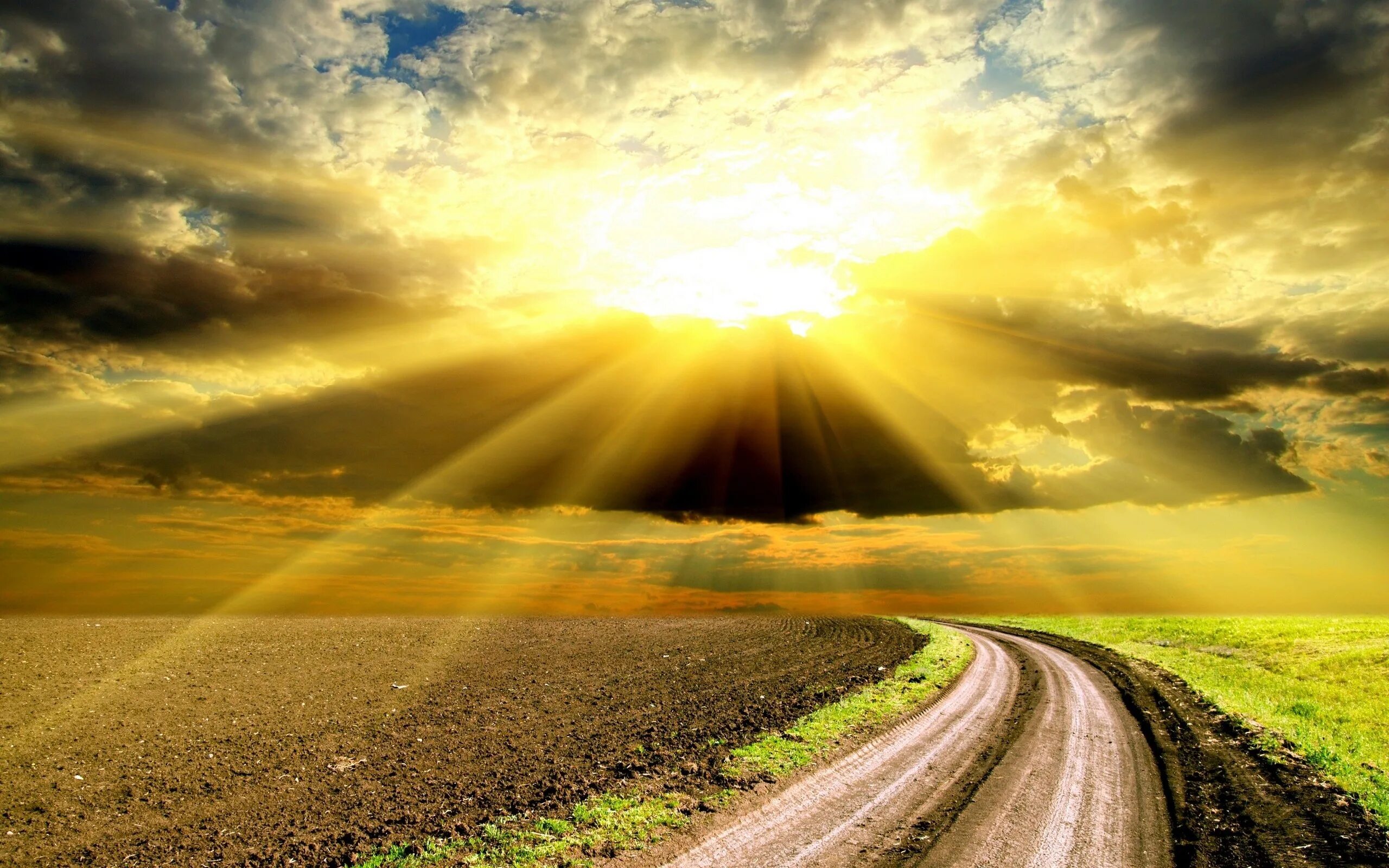 Весеннее солнце осветило землю. Солнце на дороге. Светлая дорога. Солнечная дорога. Дорога к небу.