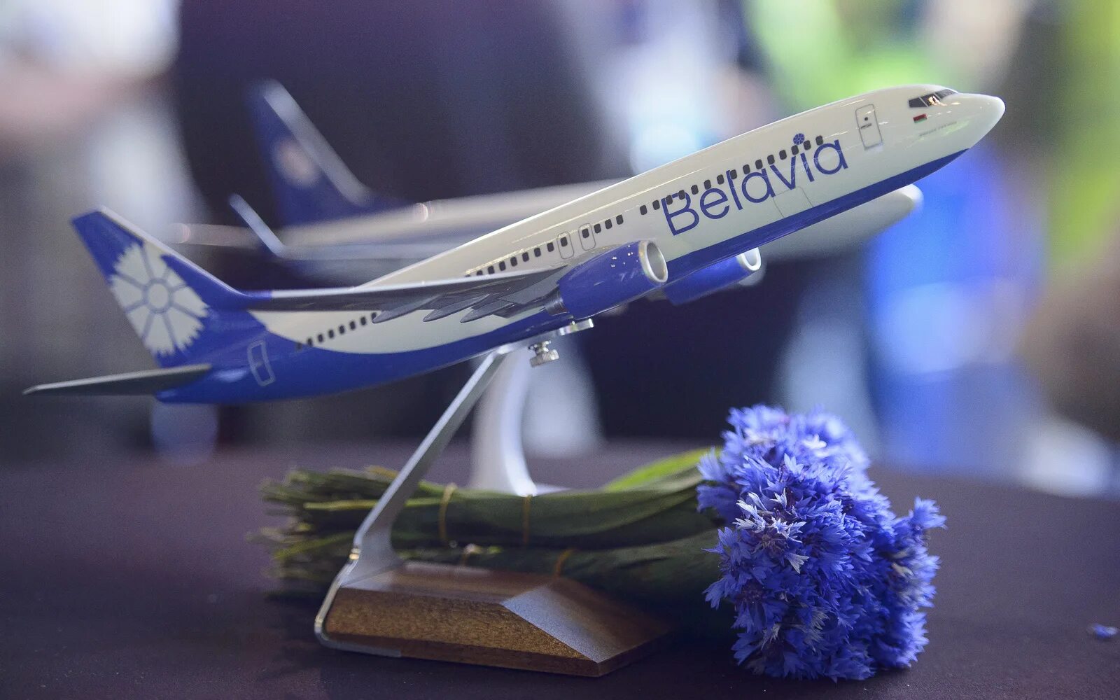 Belavia airlines. Белавиа Василек. Авиакомпания Белавиа. Модель самолета Белавиа. Belavia авиакомпания лого.