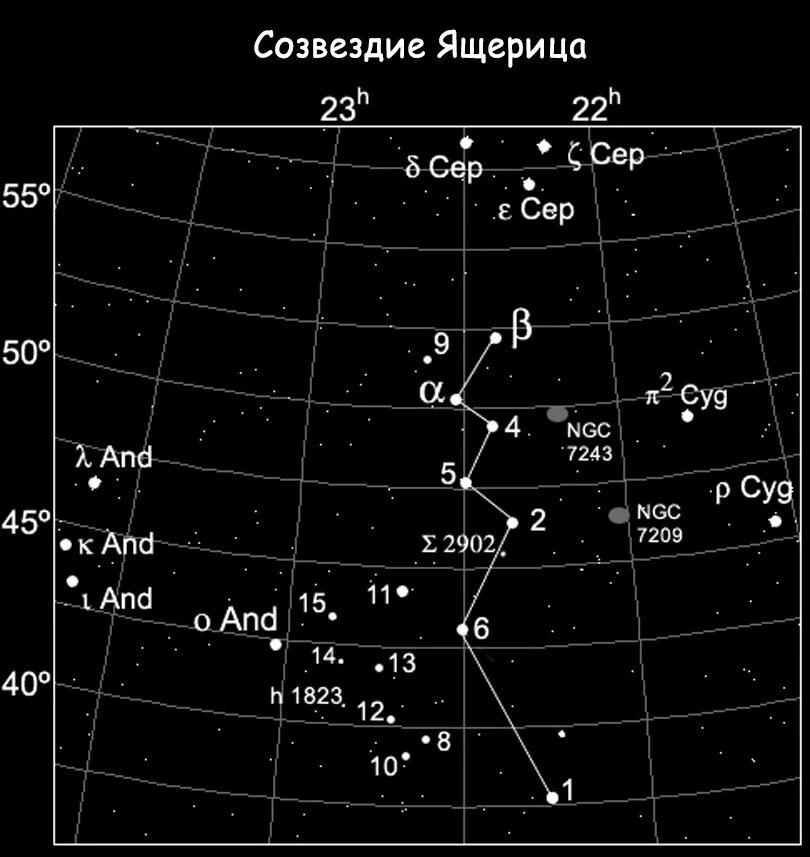 Созвездие википедия. Созвездие ящерица звезды. Созвездие ящерицы на карте звездного неба. Лацерта Созвездие. Созвездие ящерица схема.