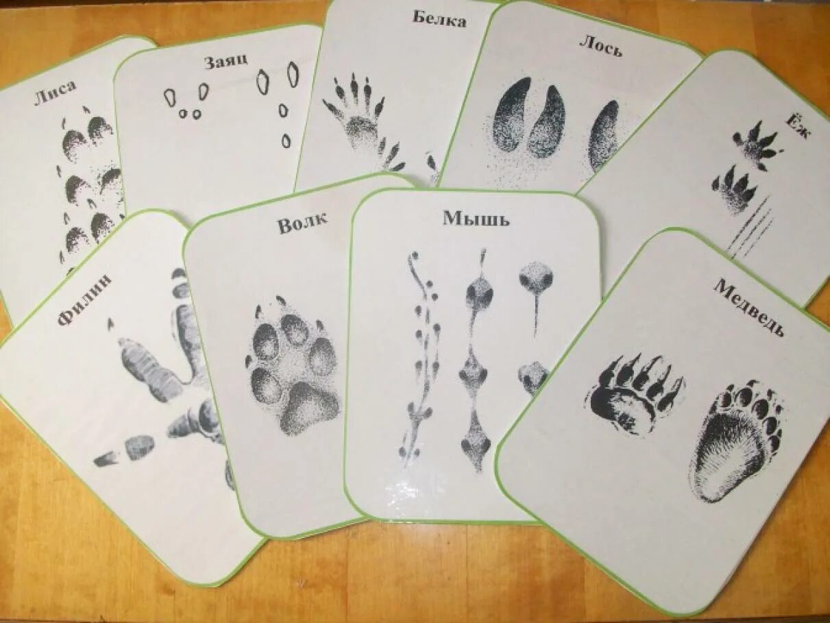 Следу задание. Игра чьи следы для дошкольников. Карточки следы животных для детей. Чьи следы карточки для детей. Карточки следы диких животных.