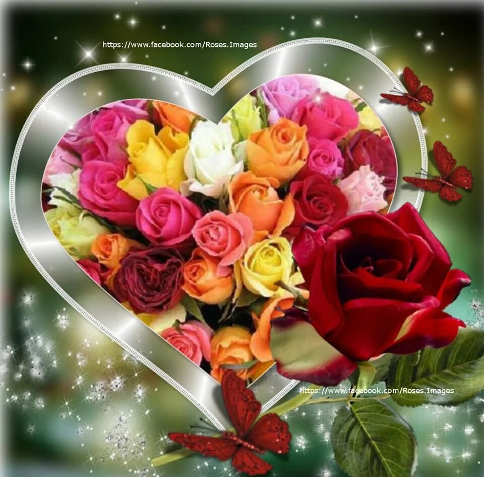 пожелания всех благ и здоровья. всех благ вам и вашим близким. пожелания от души. всех благ вам и вашим близким. крепкого здоровья и всех благ.