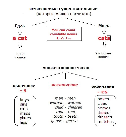 Исчисляемые неисчисляемые правила английского