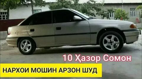 Сомон тч собака