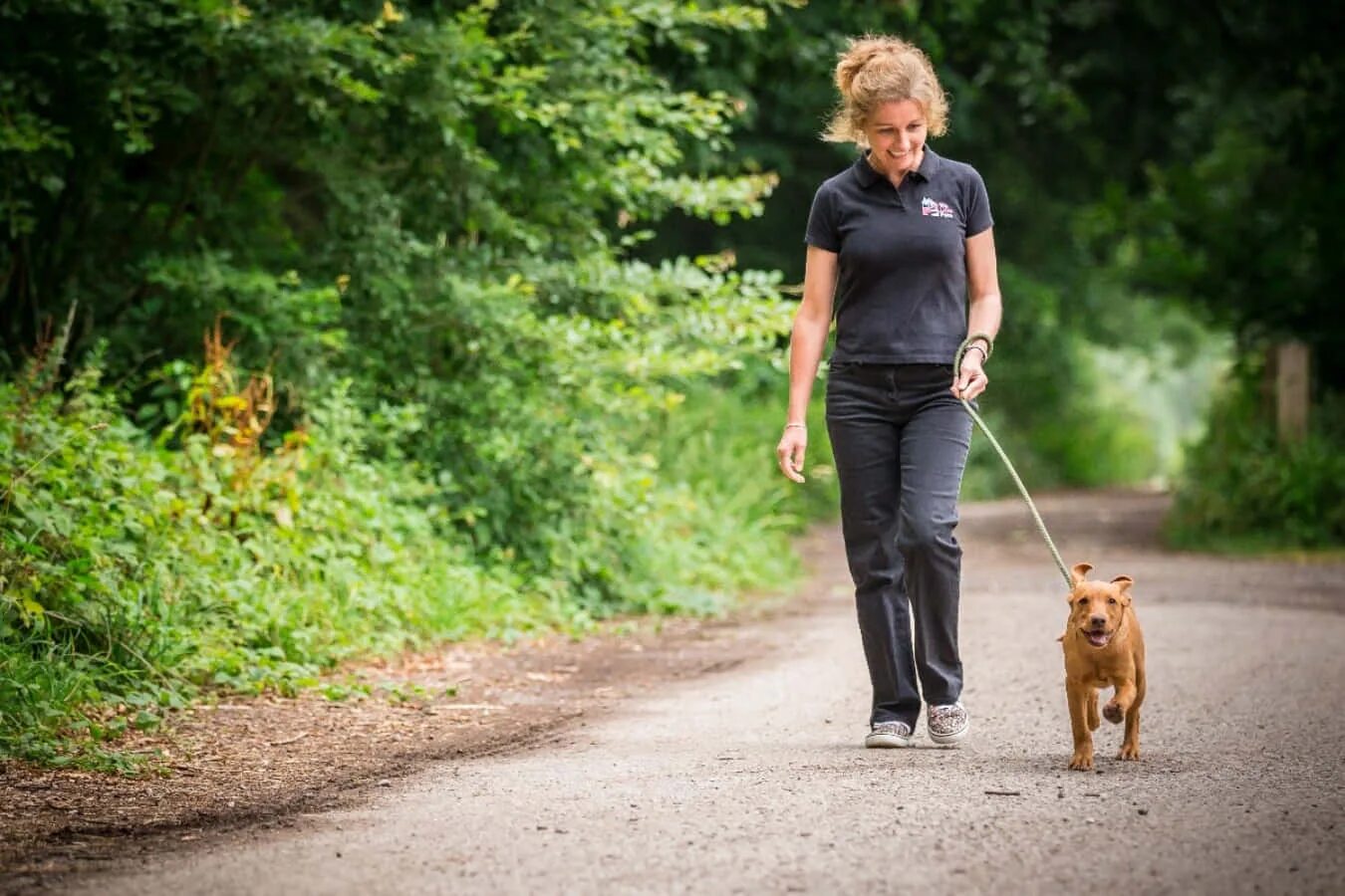 Walking pet. Выгул собак. Выгуливать собаку. Подросток выгуливает собаку. Выгуливает собаку в парке.