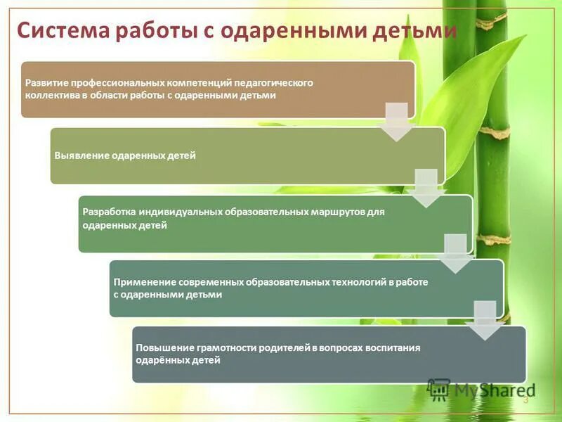 Индивидуальный образовательный маршрут 2024