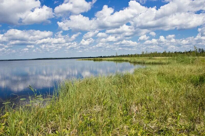 Озеро вялье фото Вялье мочалище стречно литвиново