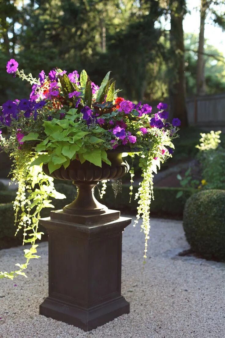Generous, curvy planters, green arrangements and adirondack chairs, refreshing c