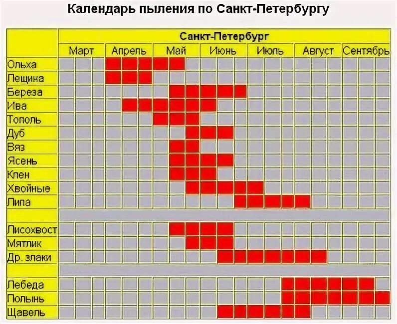 Календарь пыльцы. Календарь пыления. Календарь цветения пыления. Пыление березы. Календарь пыления береза СПБ.