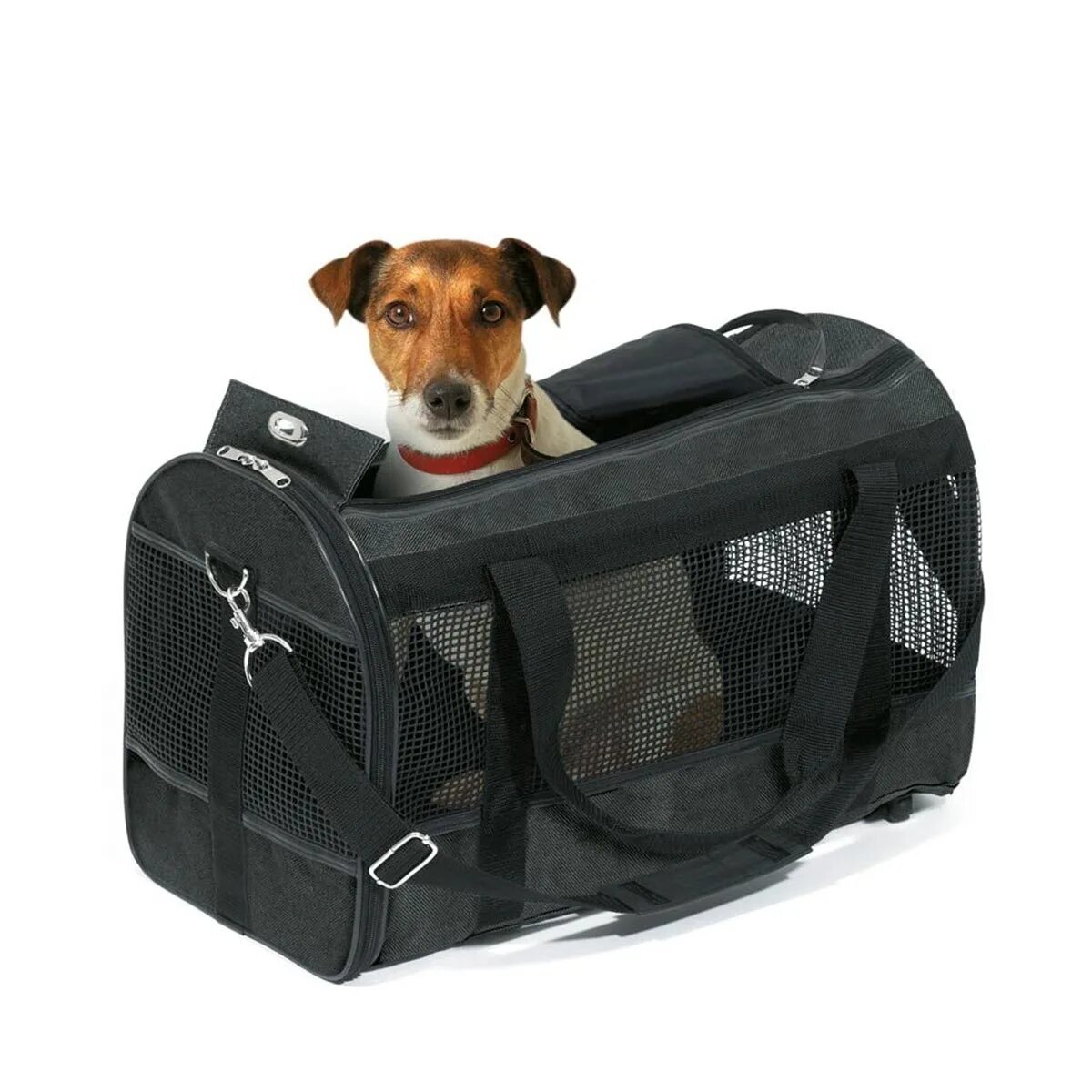 Pet bag. Переноска для собак Джек Рассел терьер. Переноска для животных Dogland 50*30*32. Сумка-переноска Trixie Tamica. Touchdog сумка переноска.