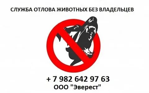 Служба безнадзорных животных