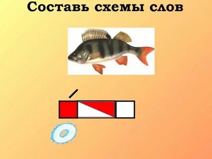 Окунь схема 1 класс в цвете