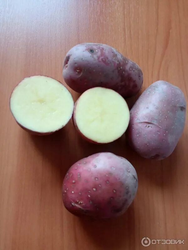Беллароза картофель характеристика отзывы вкусовые. Сорт картофеля Беллароза. Картофель семенной Беллароза. Сорт картошки Беллароза.