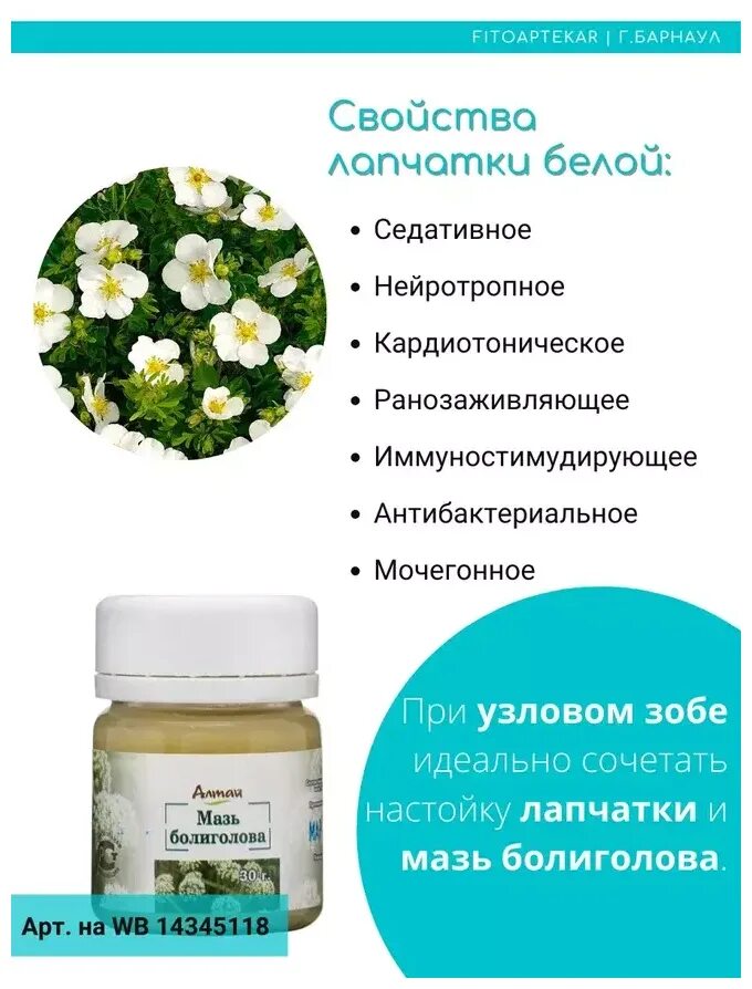 Лапчатка мазь. Лапчатка белая препараты. лапчатка белая аптечная. мазь лапчатки. лапчатка белая таблетки.