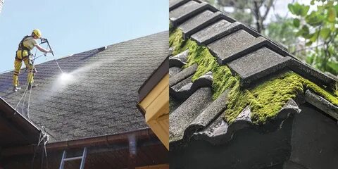 Крышу почистить от моха