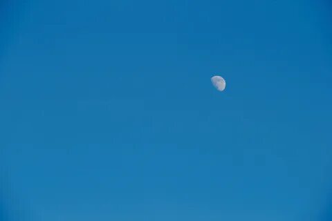 Аукцион сам себе и небо и луна