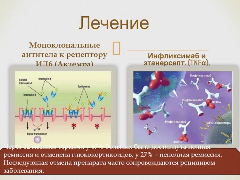 Лечение моноклональными антителами