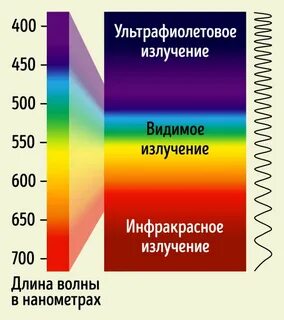 Сколько видит человеческий