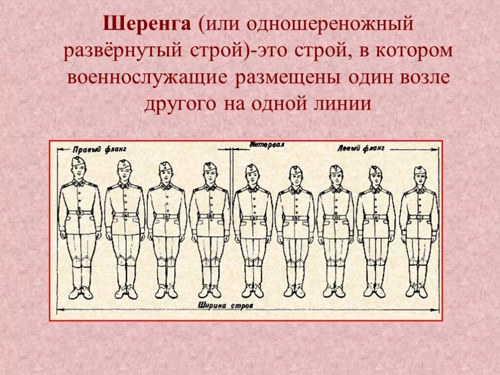 Строй шеренга. Строй двухшереножный строй колонна. Строй двухшереножный строй колонна. Двухшереножный строй солдаты. Построение в колонну.