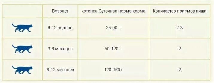 Сколько корма нужно давать 4 месячному котенку. Сколько сухого корма давать котенку в 2 месяца. Как часто кормить кормом кота в 2 месяца. Сколько корма надо давать котенку 5 месяцев. Когда можно кормить кошку после