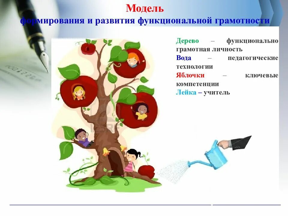 Модели функциональной грамотности. Модель формирования и развития функциональной грамотности. Функциональная грамотность в начальной школе. Формирование функциональной грамотности на уроках. Функциональная грамотность на уроках в начальной школе.