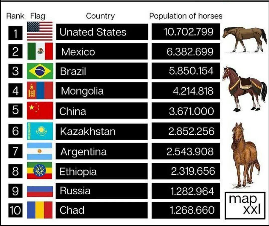 Страны по количеству лошадей. Численность лошадей в мире. Количество коней по странам. Поголовье лошадей в мире.