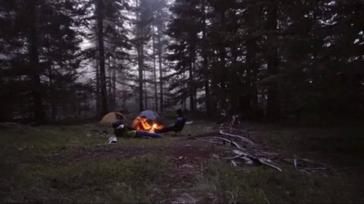 Ужасный поход. Страшная палатка в лесу. Костер в лесу. Жизнь в лесу. Палатка костер.