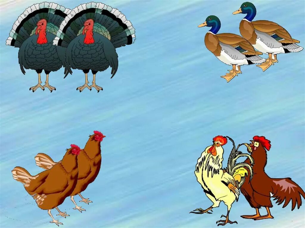 Птицы игры 4. Игра duck life. Птицы игры 4. Игра птички. Игры части птиц.