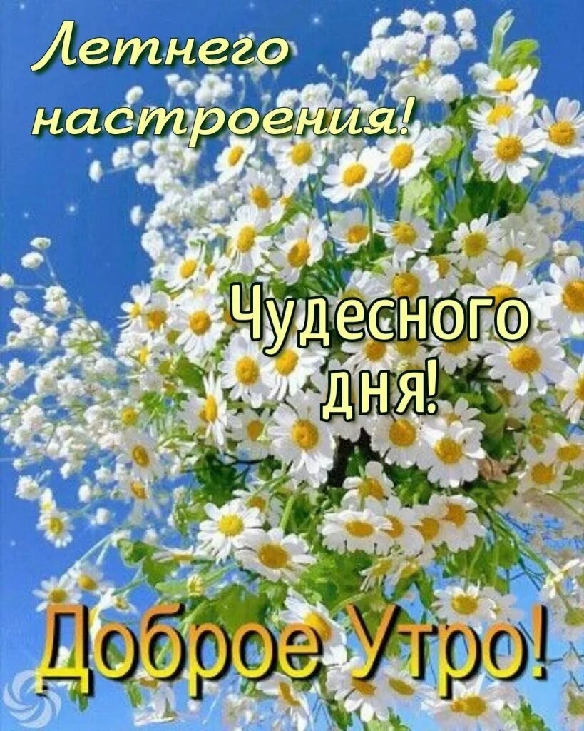 С добрым июльским утречком. Картинки с добрым утром. всего доброго картинки. с добрым июльским утром. с добрым утром июля картинки.