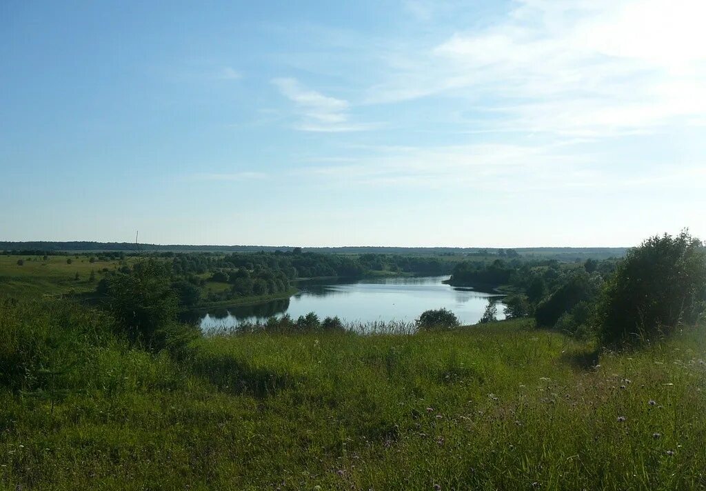 Погода заклинское поселение ленинградская область лужский. Заклинье луга. Погода заклинское поселение ленинградская область лужский. Погода заклинское поселение ленинградская область лужский. Погода заклинское поселение ленинградская область лужский.