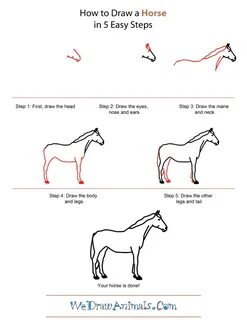 How horse