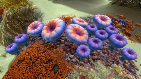 Где найти сетчатое волокно в subnautica