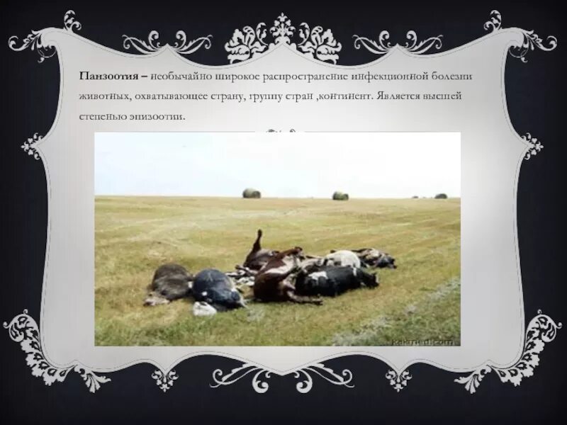 Широкое распространение болезни животных