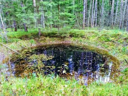 Воронки область